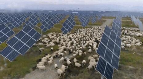 【電廠】2018年水電再次霸屏央視 水光互補(bǔ)項(xiàng)目閃亮登場(chǎng)！【電廠】2018年水電再次霸屏央視 水光互補(bǔ)項(xiàng)目閃亮登場(chǎng)！ 行業(yè)資訊 第6張