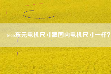 teco東元電機(jī)尺寸跟國(guó)內(nèi)電機(jī)尺寸一樣？