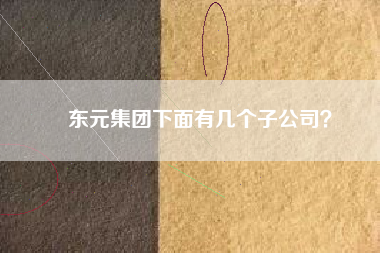 東元集團(tuán)下面有幾個(gè)子公司？