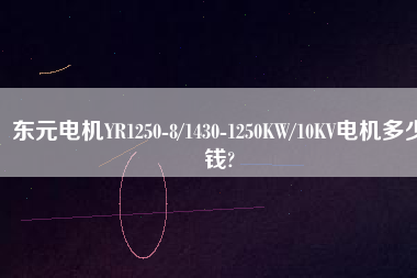 東元電機(jī)YR1250-8/1430-1250KW/10KV電機(jī)多少錢(qián)?